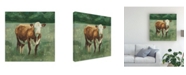 Trademark Global Emma Scarvey Hereford Cattle I Canvas Art - 19.5" x 26"